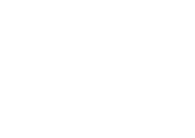 DIALOG